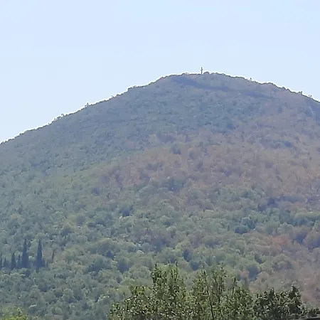Guest house Vidovic *